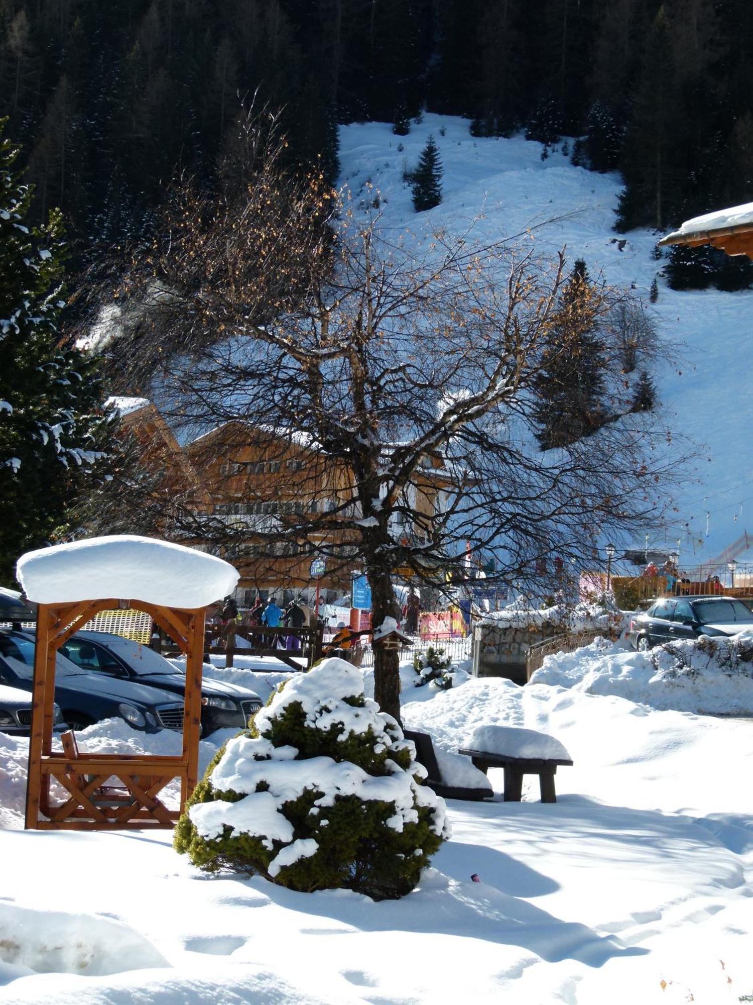 Chalet Elisabeth Dolomites Alpin & Charme Σέλβα ντι Βαλ Γκαρντένα Εξωτερικό φωτογραφία