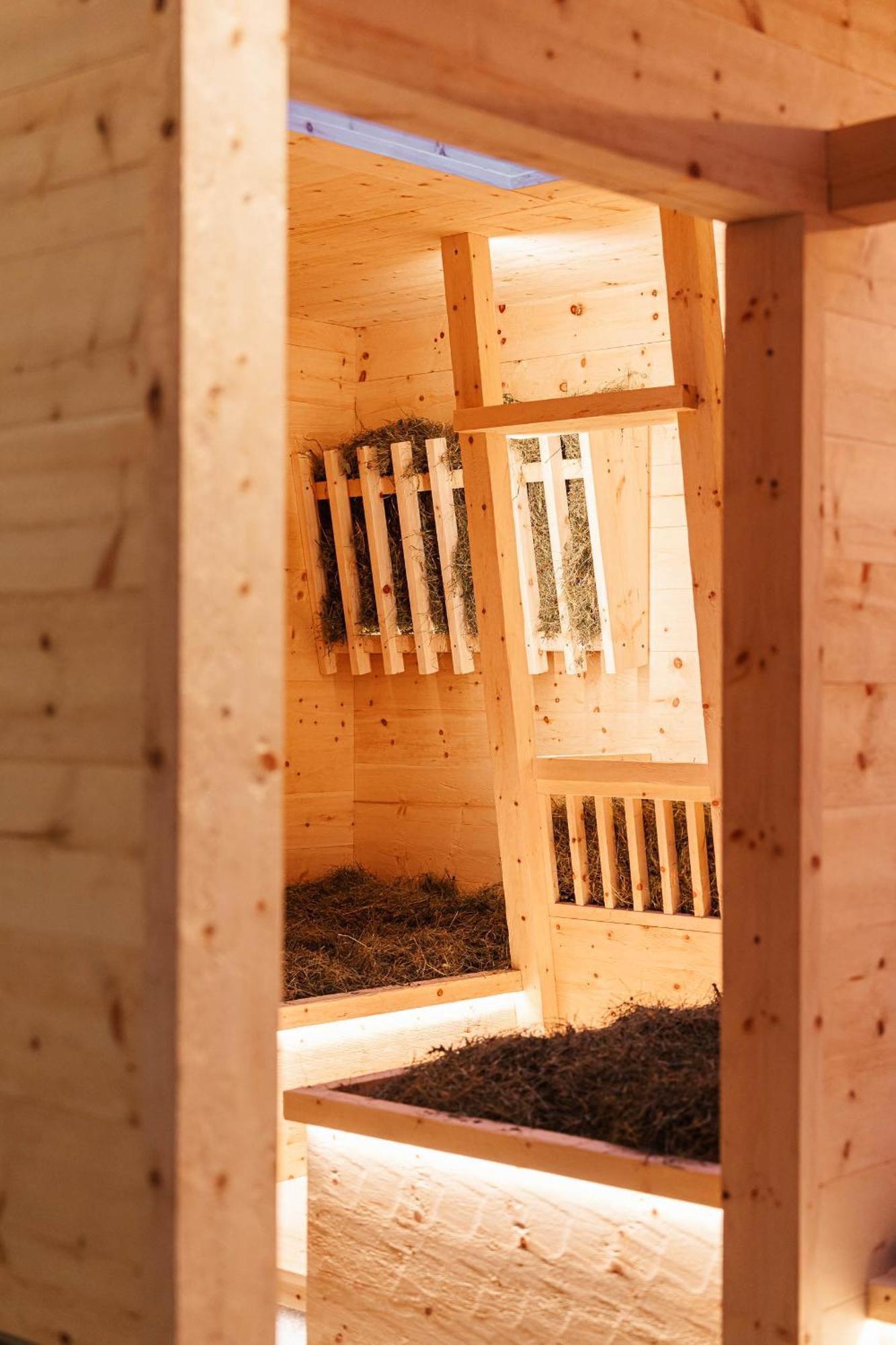 Chalet Elisabeth Dolomites Alpin & Charme Σέλβα ντι Βαλ Γκαρντένα Εξωτερικό φωτογραφία