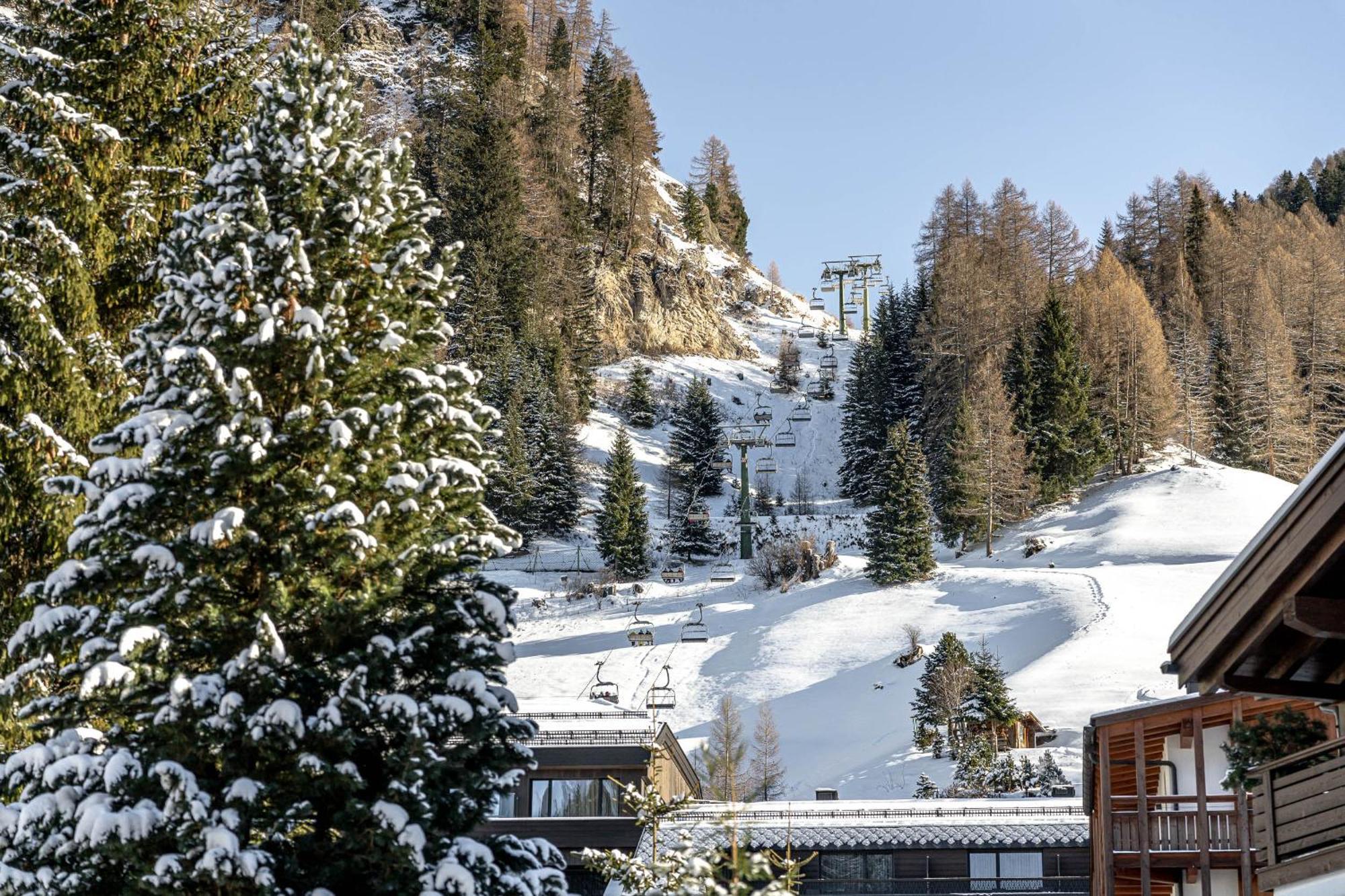 Chalet Elisabeth Dolomites Alpin & Charme Σέλβα ντι Βαλ Γκαρντένα Εξωτερικό φωτογραφία